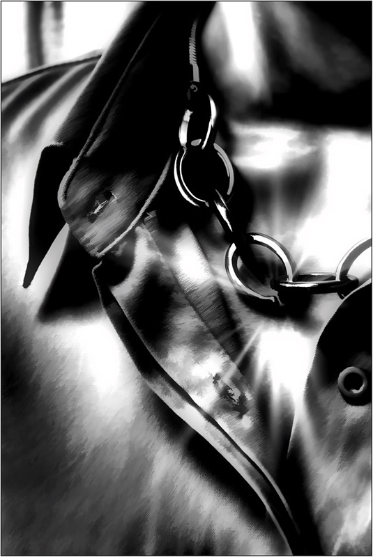 Elegant Evening by Mareen Smith